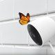Illustration for article titled Googles Latest Move To Protect User Privacy Rings Hollow